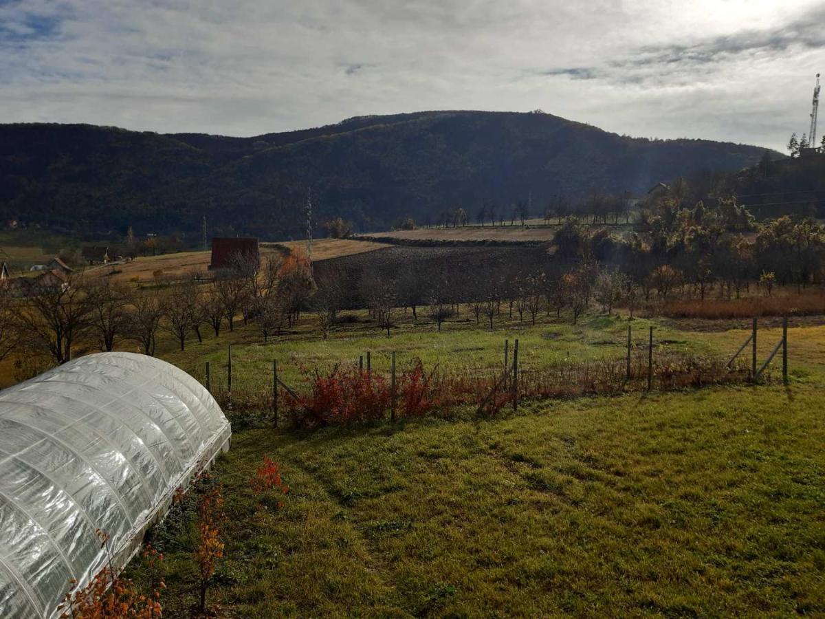 Apartamento Brvnare Stojic Kokin Brod Exterior foto